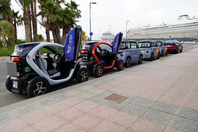 Montes de Málaga Gastronomic Tour by Electric Car - Lunch at a typical local sale: food with a view (and a real break)