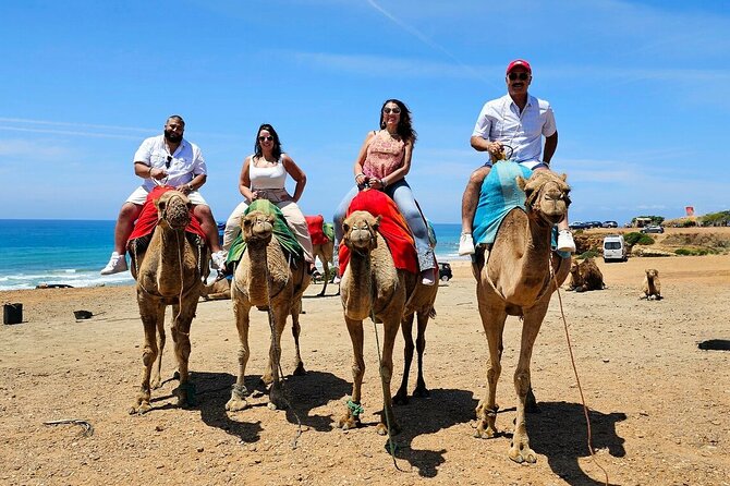 Morocco: Tangier Private Tour from Malaga & Tarifa, All Inclusive - Ferry, customs, and getting across without stress