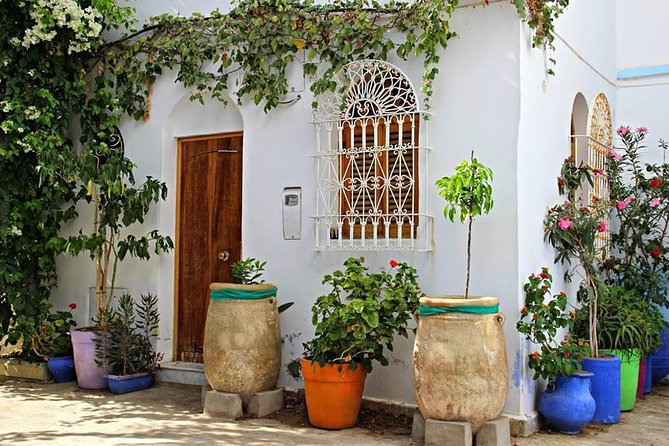 Morocco: Tangier Private Tour from Malaga & Tarifa, All Inclusive - Camel ride reality check: fun, official, and short by design