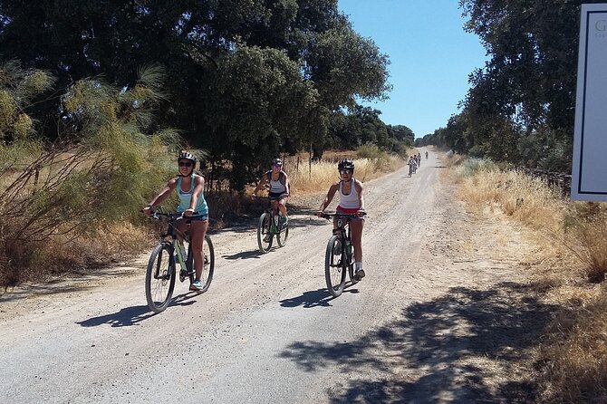 MTB (Self-Guided) Setenil de las Bodegas - 30km Easy - Ronda to Setenil: An easy 30km bike day that feels like a real outing