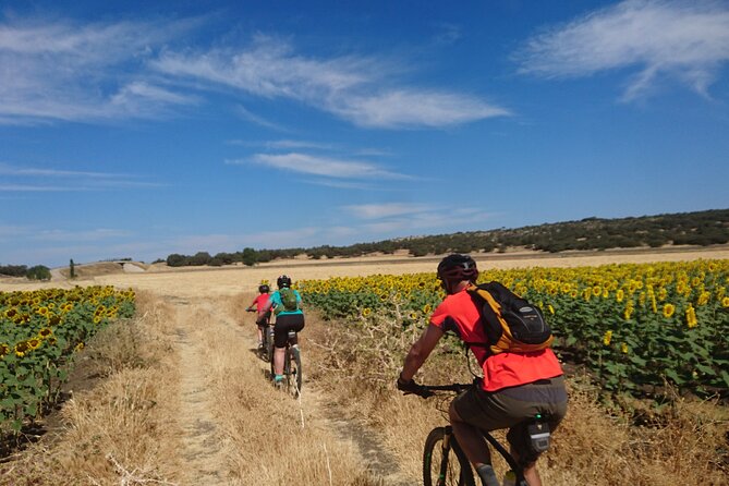 MTB (Self-Guided) Setenil de las Bodegas - 30km Easy - Price and value: $102.13 for a structured ride, not just rental wheels