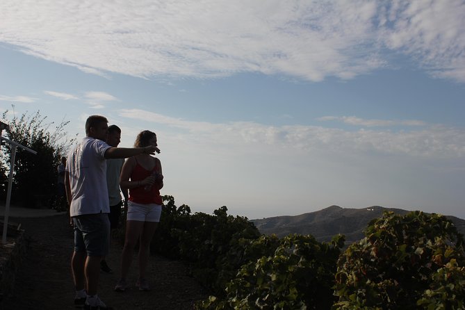 Muscat Raisin Route - Small group with lunch included - Country Cortijo Stop: See How Muscatel Raisins Are Really Made
