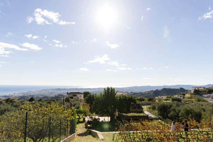 Near Malaga: Mijas Organic Vineyard, 5 Wines, 2 Oils & Tapas - Meeting Antonio’s Place: Gate, Animals, and Sea Views