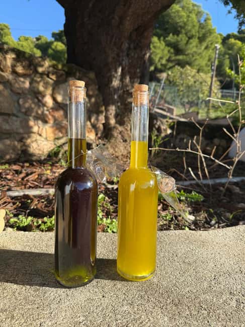 Near Malaga: Mijas Organic Vineyard, 5 Wines, 2 Oils & Tapas - Walking the Vines and Olive Groves: What the Tour Teaches You