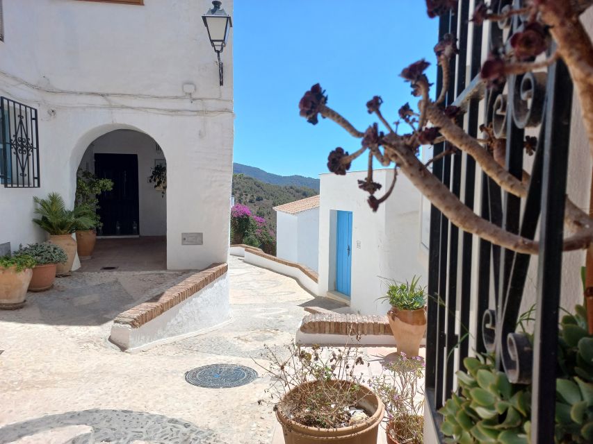 Nerja, Frigiliana & El Acebuchal: Full-Day Semi-Private Tour - What the small-group format does for the experience