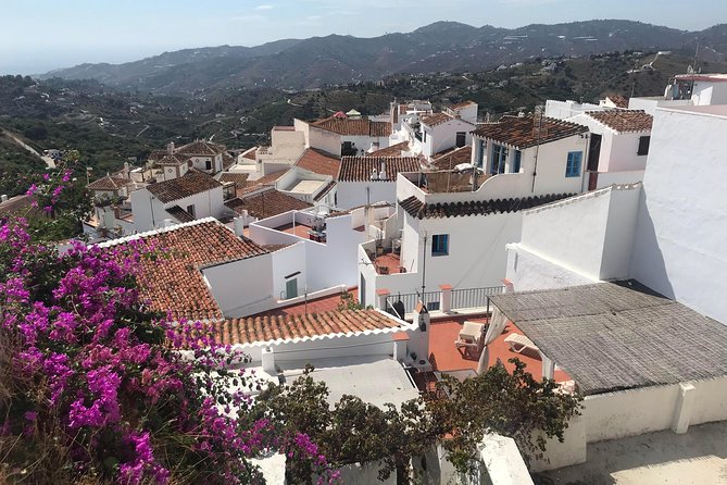 Nerja & Frigiliana Private Day Trip from Malaga or Marbella - Price and value: what $368.46 per person buys you