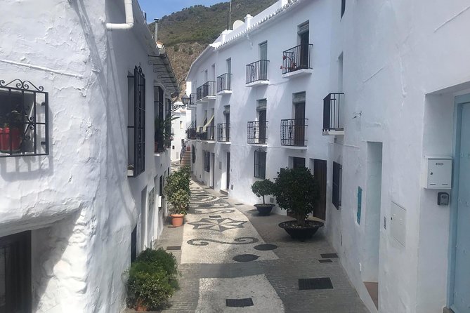 Nerja & Frigiliana Private Day Trip from Malaga or Marbella - Who this private Nerja and Frigiliana day is best for
