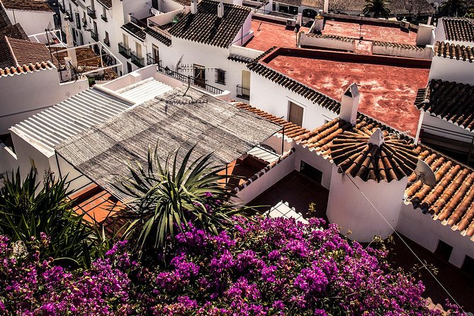 Nerja (Pueblo) + Frigiliana & El Acebuchal - Semi-Private - Why this semi-private day from Malaga works