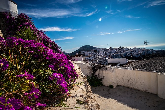 Nerja (Pueblo) + Frigiliana & El Acebuchal - Semi-Private - El Acebuchal and Cómpeta: exploring a recovered abandoned town