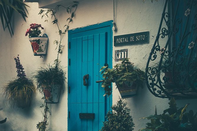Nerja (Pueblo) + Frigiliana & El Acebuchal - Semi-Private - Who should book this Nerja–Frigiliana–El Acebuchal tour