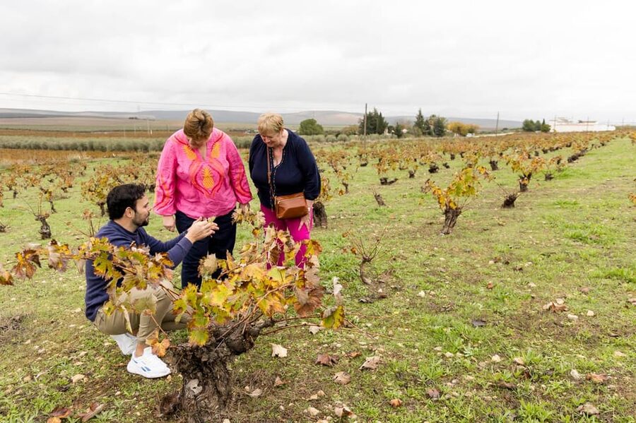 OLIVE OIL & WINE TOUR Organic fields - 5 Wines + 3Olive Oils - Key highlights worth circling on your map