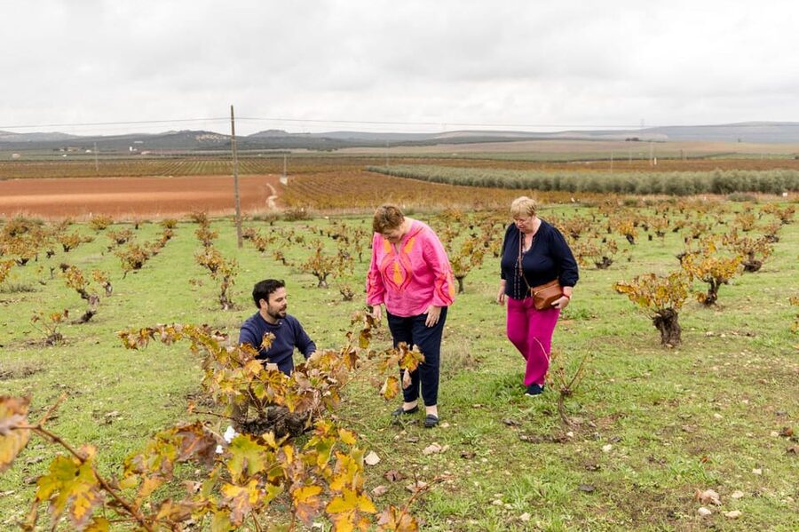 OLIVE OIL & WINE TOUR Organic fields - 5 Wines + 3Olive Oils - Price and logistics: what $108 buys you in real terms