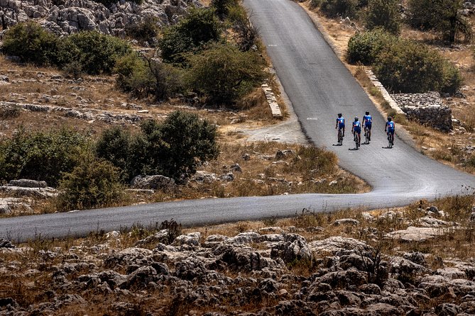 Personalised Road Bike Tour in Malaga - Choosing East, West, or North Malaga: distances and climb profiles