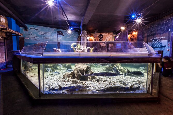 Premium Ticket Sea Life Benalmádena - Key highlights before you go
