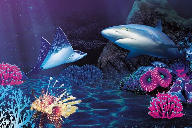 Premium Ticket Sea Life Benalmádena - Premium Ticket at Sea Life Benalmádena: the setup that makes it easier