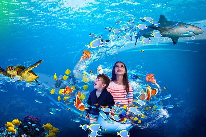 Premium Ticket Sea Life Benalmádena - Price vs value at $23: what you’re actually paying for