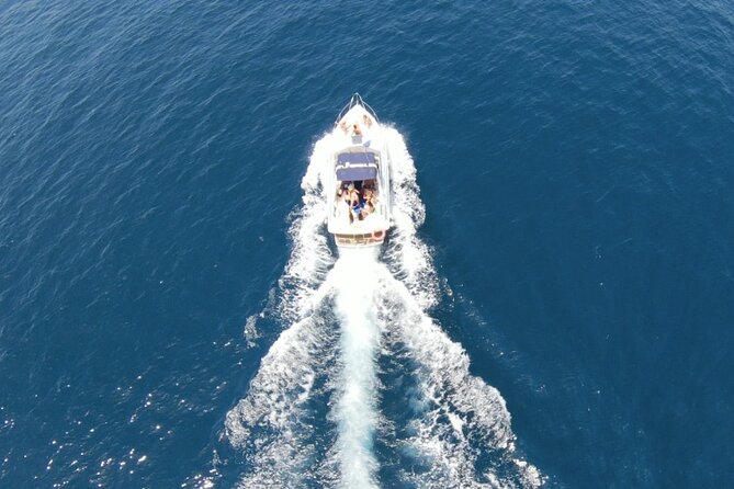 Private Boat Rental in Benalmádena - Dolphins and sea-life moments: what you’re likely to spot from the boat