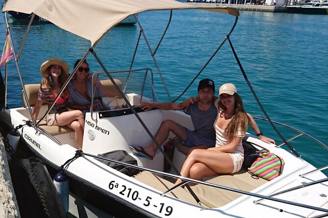 Private boat rental without title dolphin watching - Dolphin watching: what you can realistically hope for