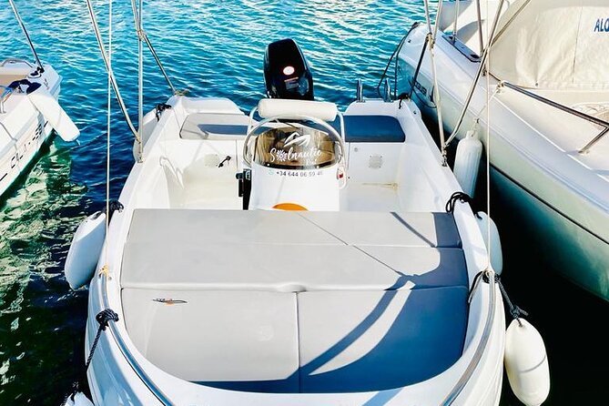 Private boat rental without title dolphin watching - Price and value: the $60.24 group rate plus the extras that matter