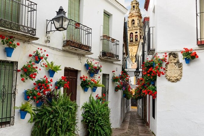 Private Cordoba & Seville Tour with a Finale Horse Carriage Ride - Real Alcázar de Sevilla: why that included hour counts