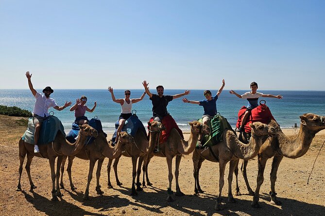 Private Day Tour in Gibraltar and Tangier, Morocco from Malaga - A 6:30am start that turns into a 2-continent checklist