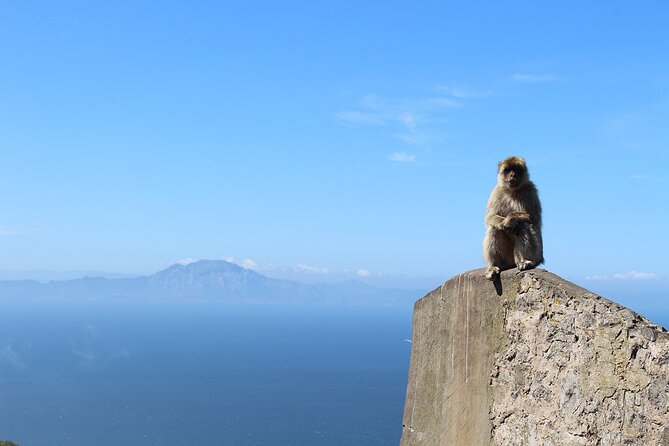 Private Day Tour in Gibraltar and Tangier, Morocco from Malaga - Costa del Sol and Costa de la Luz: long coastal drives for breathing room