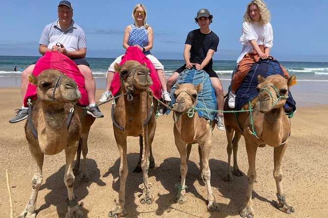Private Day Tour in Gibraltar and Tangier, Morocco from Malaga - Gibraltar’s El Peñón and Punta Europa: rock views and macaques