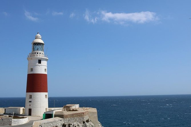 Private Full Day Tour of Gibraltar from Malaga or Marbella - Price and logistics: what you should double-check before you pay