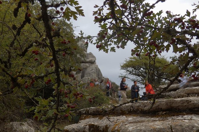 Private Guided Tour to Torcal de Antequera - Who this tour fits best