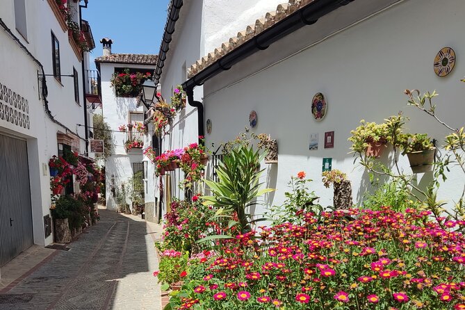 Private half-day tour of Ronda and the White Villages with native - New Bridge (Puente Nuevo): The Best First Stop for Getting Oriented
