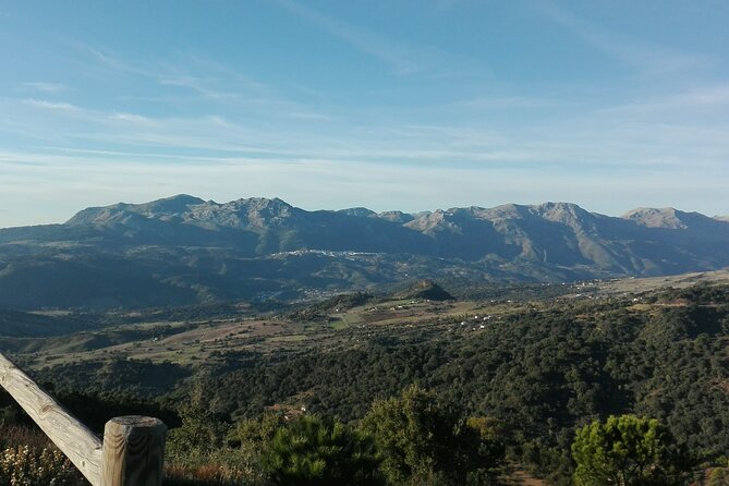 Private half-day tour of Ronda and the White Villages with native - The Value of Guides Who Tailor the Day