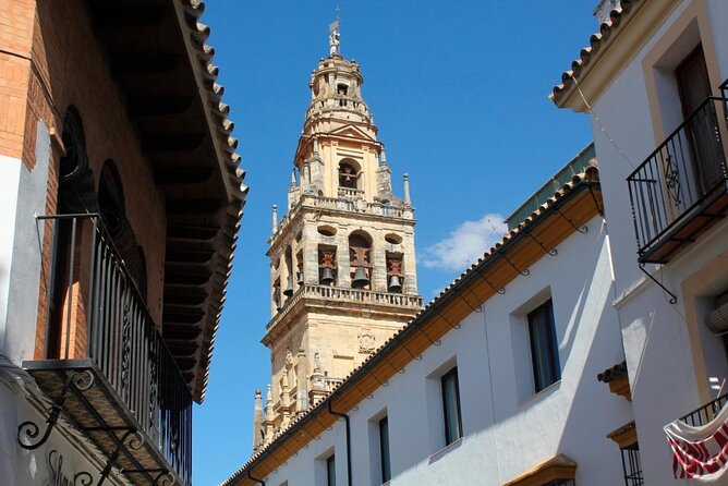 Private Multiday: Cordoba,Granada, Alhambra & Seville from Malaga - Key highlights worth planning around