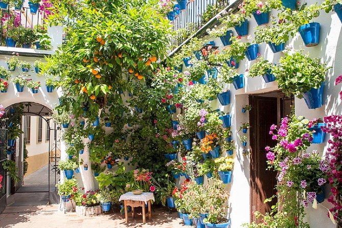 Private Multiday: Cordoba,Granada, Alhambra & Seville from Malaga - Guide quality matters: the human touch behind the monuments