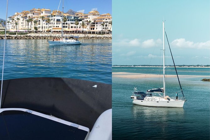 Private Sailboat Rental in Puerto Banús, Marbella - Dolphins and swimming: what you can realistically expect