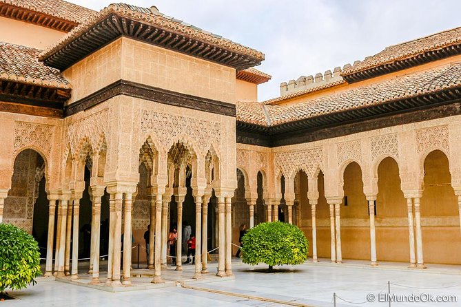 Private tour from Malaga to the Alhambra Palace and Granada - Courtyards, palaces, and pacing that avoids the rush
