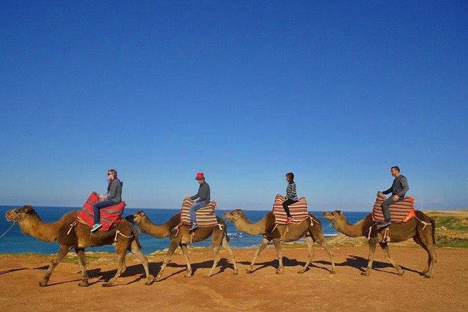 Private tours from Malaga to Tangiers in Morocco all inclusive - Tangier’s mix of influences: Europe meets Africa in plain sight