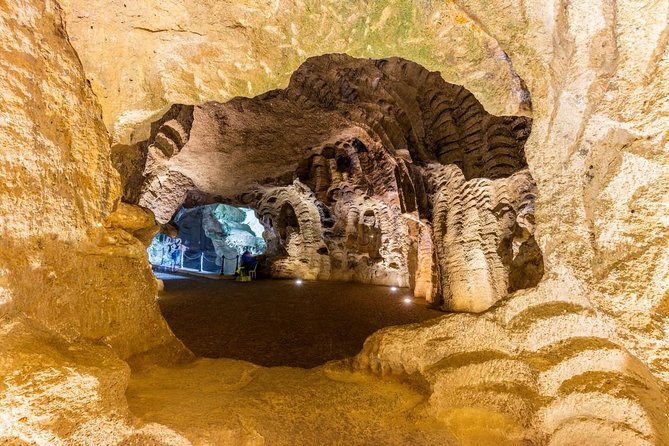 Private tours from Malaga to Tangiers in Morocco all inclusive - Optional camel rides and the kinds of extras worth considering