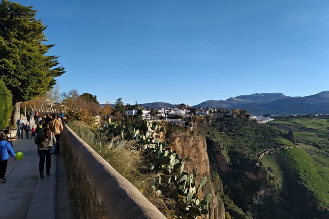 Private visit to Ronda 2 hours - Alameda del Tajo: the oldest garden views in the city
