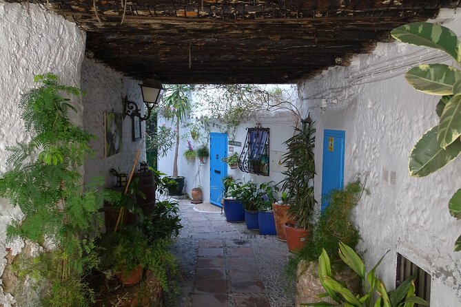 Private walking tour around the Old Town of Frigiliana - Key Highlights You’ll Care About