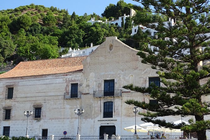 Private walking tour around the Old Town of Frigiliana - How the Tour Flows: Start at 9:00, End Near Plaza del Ingenio