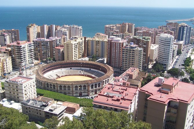Private Walking Tour in Málaga - Larios Street: the pedestrian shopping lane that doubles as orientation