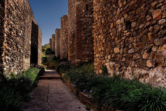 Private Walking Tour in Málaga - Tickets and timing: what you need to plan for