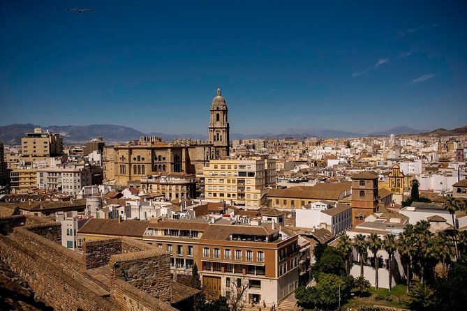 Private Walking Tour in Málaga - Getting the most from your guide (without taking over the day)