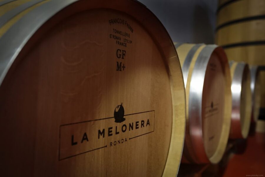 Private Winery Tour and Visit to Ronda - Key things that make this day work