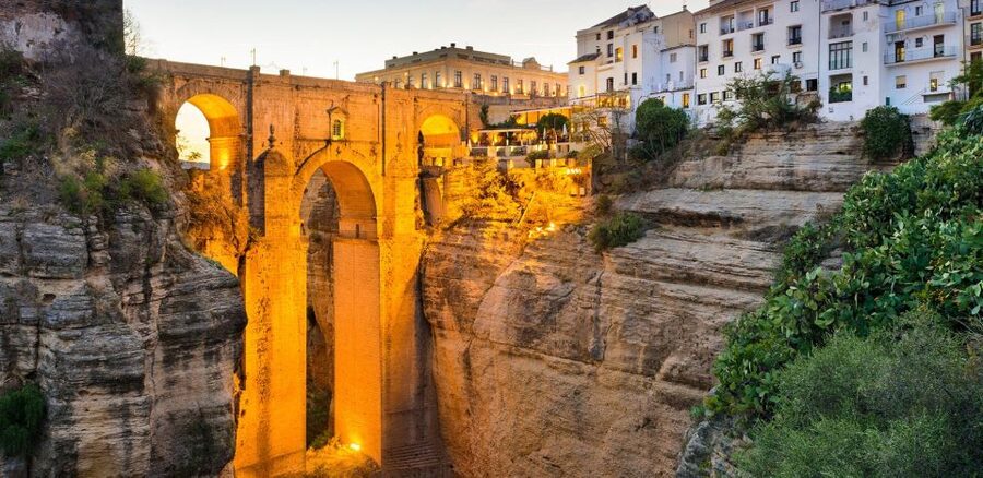Private Winery Tour and Visit to Ronda - Finca La Melonera: the winery visit that goes beyond sipping wine