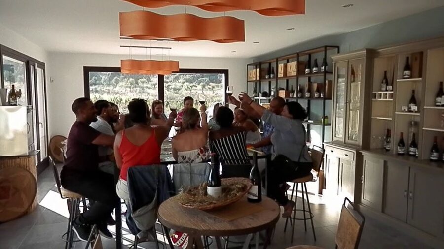 Private Winery Tour and Visit to Ronda - The guided winery walk: vineyards, altitude, and recuperating lost grapes