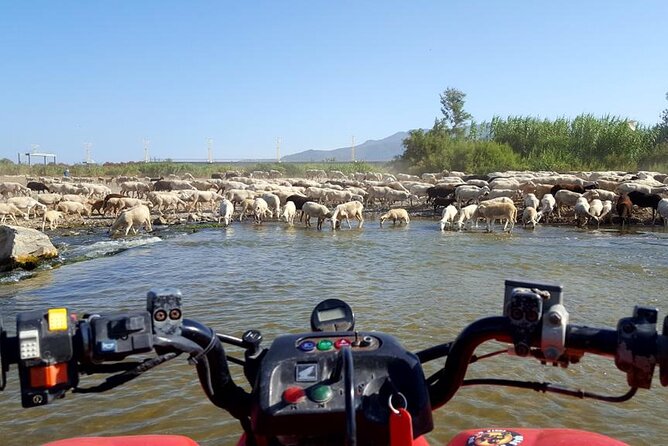 Quad Bikes for Guided Tours. - Starting at Cam. Puente del Rey: Easy Access, Clear Setup