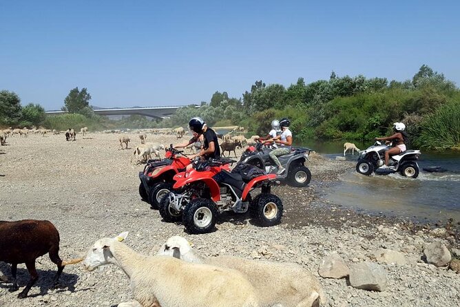 Quad Bikes for Guided Tours. - The Guided Demo First: How They Teach You to Ride