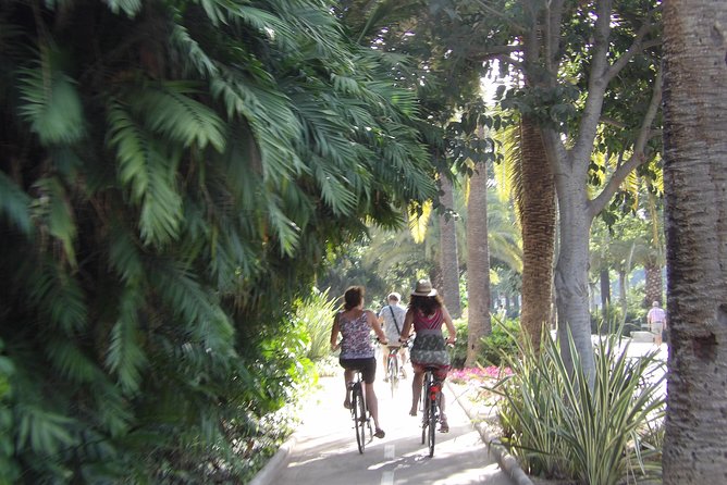 Rent a City Bike: Full Day 24 hours - What you pay (and why it feels fair at $21.77)