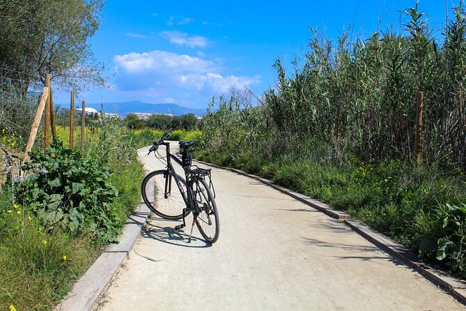 Rent a Trekking bike: Full Day 24 hours - Huelin to the Estuary: Chasing Chimneys and Then Peace